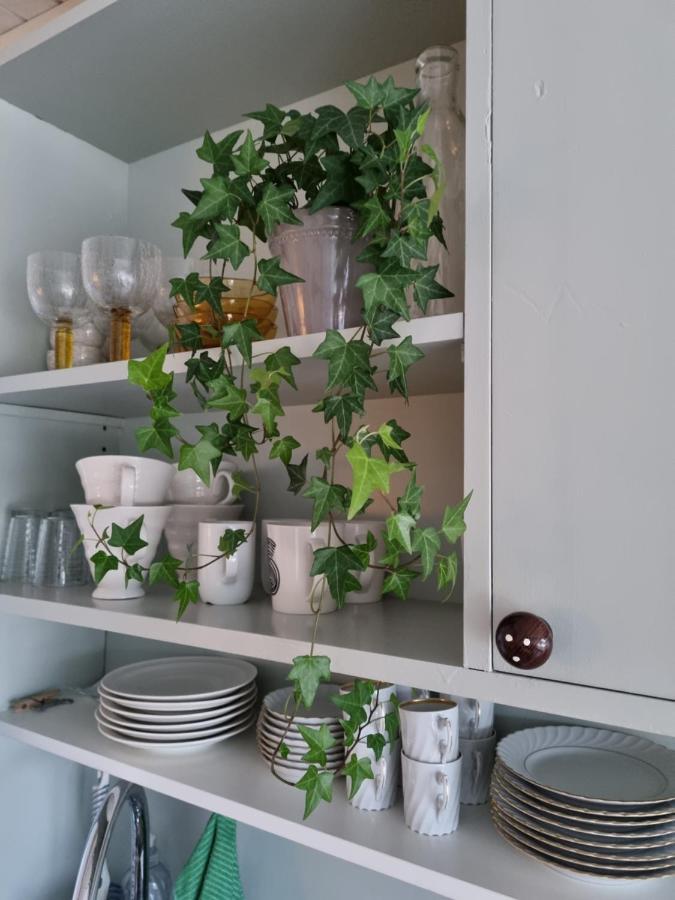 Loftsleilighet Midt I Sentrum Skjervoy Eksteriør billede